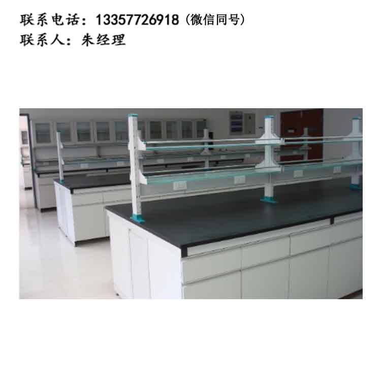 實(shí)驗(yàn)室家具化驗(yàn)室學(xué)校生物理化學(xué)全鋼實(shí)驗(yàn)臺(tái)
